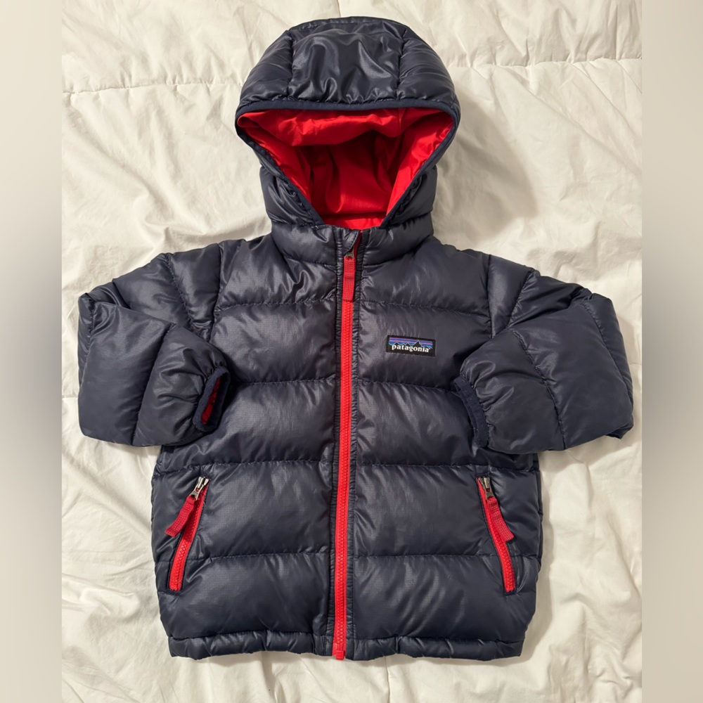 Patagonia Hi-Loft Down Sweater Hoodie